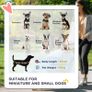 3 In 1 Detachable Pet Stroller, for Extra Small and Small Dogs - Black Image 5