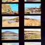 Framed Vintage Irish Postcard Collection Image 3