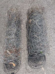 Chicken Rabbit Wire
