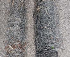 Chicken Rabbit Wire