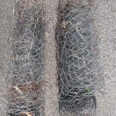 Chicken Rabbit Wire