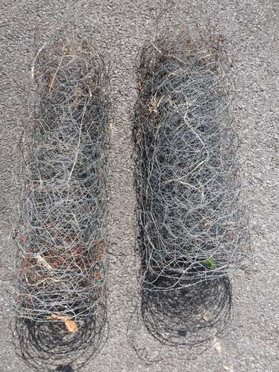 Chicken Rabbit Wire