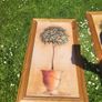 80x40c framed plant pictures Image 3