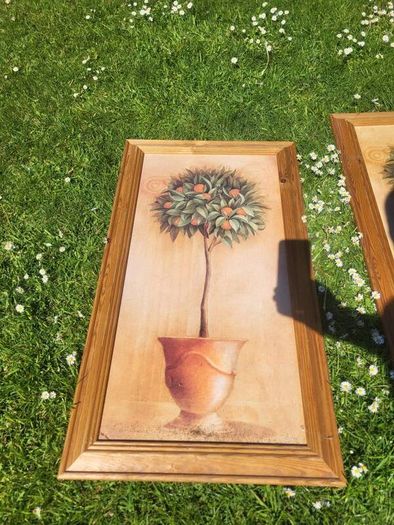 80x40c framed plant pictures