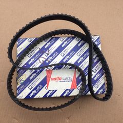 Timing Belt (Fiat Regata 1.9D)