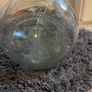 Antique Glass demijohns Image 7