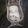 Chicco Baby Hug 4-in-1 + mattress Image 4