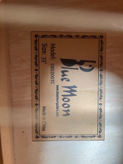 Acoustic Guitar