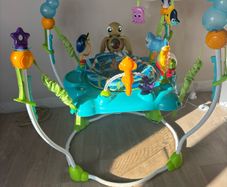disney jumperoo