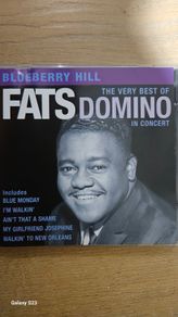 Fats Domino - In Concert. Blueberry Hill. The Very Best Of.