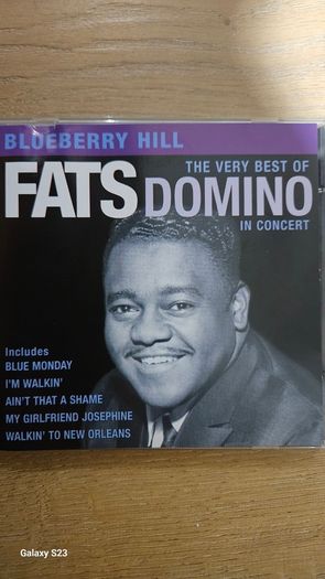 Fats Domino - In Concert. Blueberry Hill. The Very Best Of.