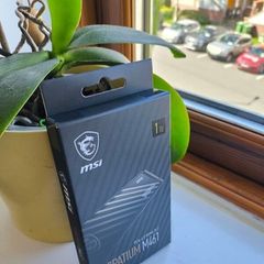 Brand New 1tb Nvme Pcie 4.0 Msi Spatium M461 M.2 Ssd Laptop Pc Ps5