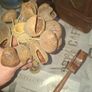 Traditional Musical Spoons Wooden Clapper and Seed Shaker or Bali Nut Rattle, Postage available or Collection Image 4