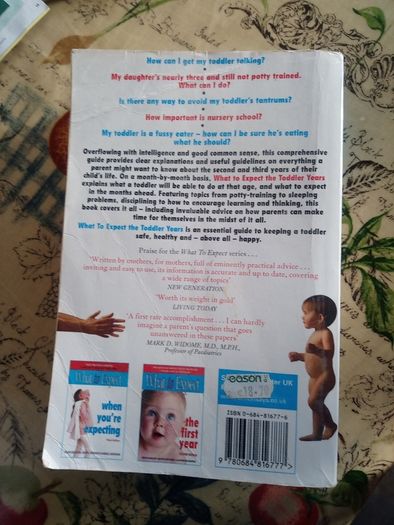 What to expect the toddler years