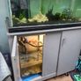 fish tank Image 2