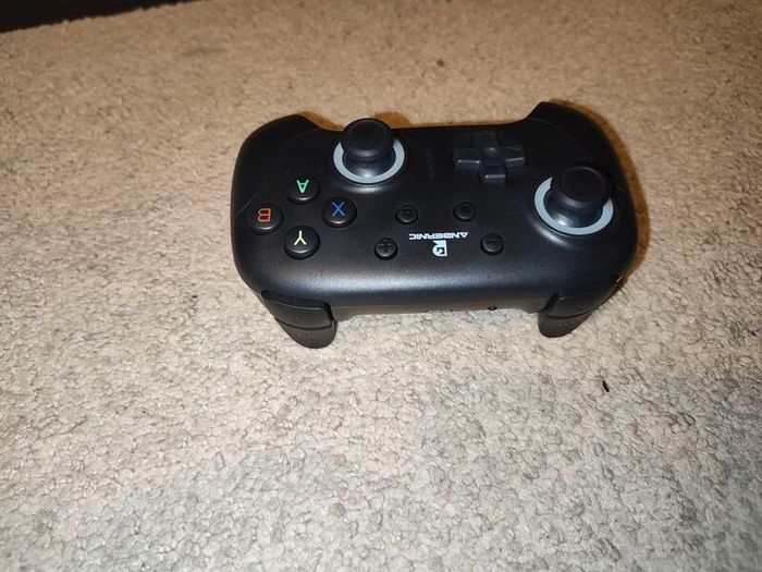 Ambernic Officiall controller