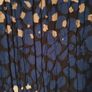 CC blouse Image 3