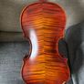Fiddle new, 5string Image 3