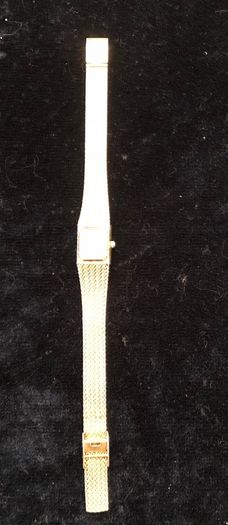 Aroxana ladies watch