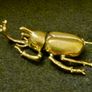 3 brass beetles. Image 5