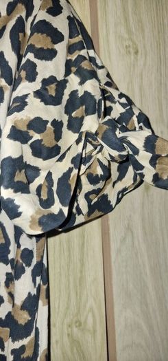 Zara dress