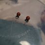 Earrings Image 2