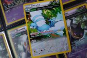 Altaria ! Full Art ! Non Holo Rare ! from Roaring Skies Set ! 2015 ! Pokemon Card !