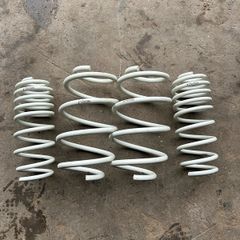 Renault Clio Lowered springs