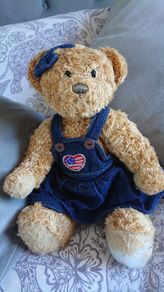 American Bear