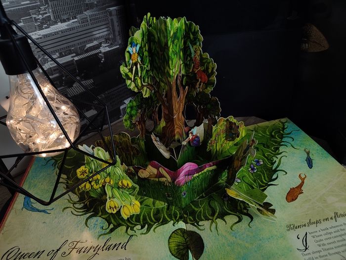 A Field Guide To Fairies ! Beautiful Pop-up Book ! Hardcover ! 2009 ! by Kingfisher !