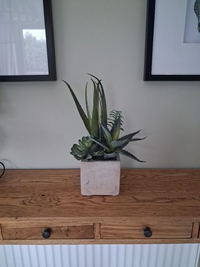 Faux Potted Cacti and Succulents