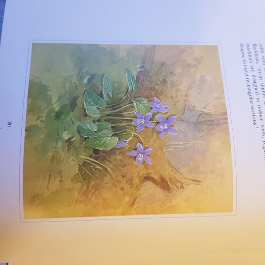 Beningfields Woodlands. Beautiful paintings by Gordan Beningfield of woodland and it birds and animals.