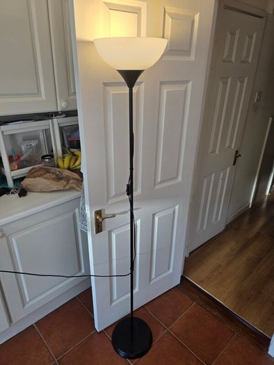 Floor lamp with energy saving bulb