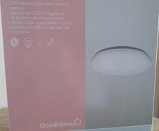 ceiling light