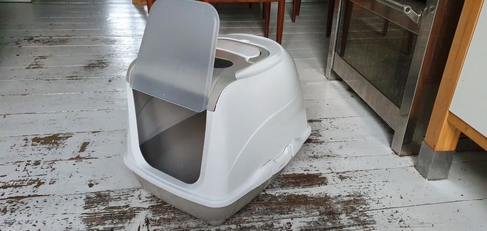 Cat litter box with swinging door
