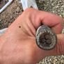 armoured cable Image 4