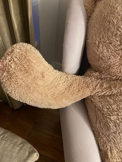 large teddy bear