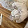 Single bed and mattress Image 4