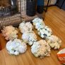 Wedding Decorations Image 3