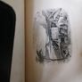 book antique Image 5