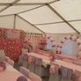 marquee Image 2