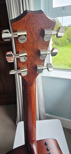 Taylor 517e Builder's Edition
