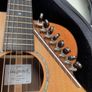Sedgwick 20-string harp guitar Image 4