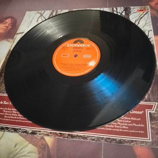 Backwoods Gay and Terry Woods Irish Pressing