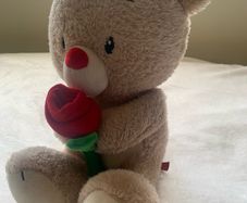 Lovely plush teddy bear from Clintons