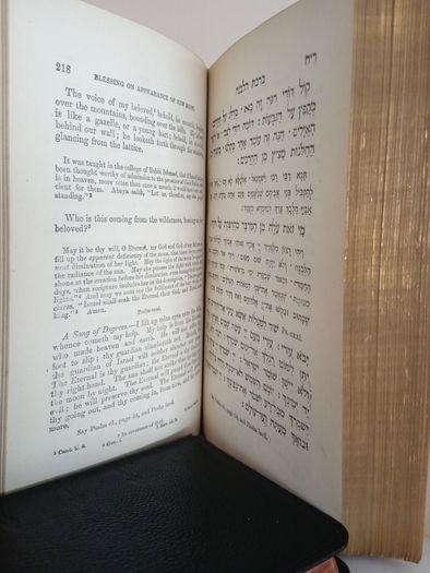 The Daily Prayers, Comprehending The Order of Service for Every Day of the Year: According to the Custom of the German and Polish Jews. With a New Translation by The Rev. A. P. Mendes (GT910)