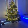 Christmas Tree Image 2