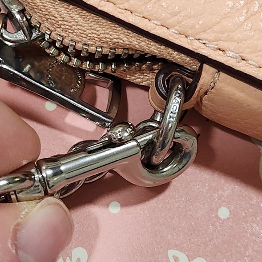 coach purse (authentic)