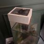 fluval edge Image 2