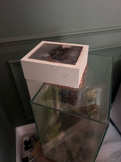 fluval edge